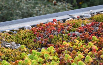 the cost of Burghead green roof installation