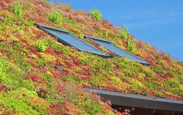 Burghead living roof systems
